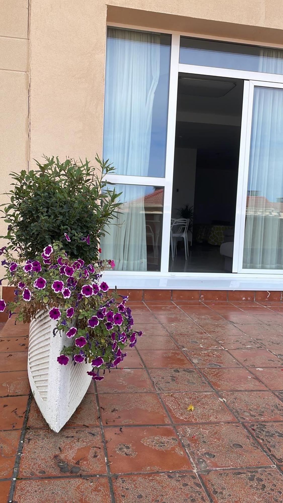Aljama Burgos Aparthotel Exteriör bild